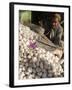 Man Selling Garlic, Bazaar, Central Kabul, Afghanistan-Jane Sweeney-Framed Photographic Print