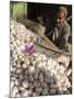 Man Selling Garlic, Bazaar, Central Kabul, Afghanistan-Jane Sweeney-Mounted Photographic Print