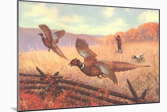 Man Shooting Pheasants, Pointer-null-Mounted Art Print