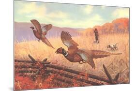 Man Shooting Pheasants, Pointer-null-Mounted Art Print