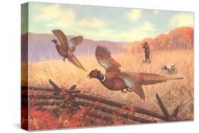 Man Shooting Pheasants, Pointer-null-Stretched Canvas