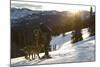 Man Shows His Dogs Affection Before A Morning Backcountry Ski In Montana's Gallatin Range-Hannah Dewey-Mounted Photographic Print