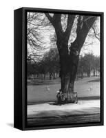 Man Sitting on a Bench and Reading a Newspaper in the Park-Cornell Capa-Framed Stretched Canvas