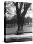 Man Sitting on a Bench and Reading a Newspaper in the Park-Cornell Capa-Stretched Canvas