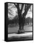 Man Sitting on a Bench and Reading a Newspaper in the Park-Cornell Capa-Framed Stretched Canvas