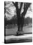 Man Sitting on a Bench and Reading a Newspaper in the Park-Cornell Capa-Stretched Canvas