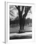 Man Sitting on a Bench and Reading a Newspaper in the Park-Cornell Capa-Framed Photographic Print