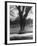 Man Sitting on a Bench and Reading a Newspaper in the Park-Cornell Capa-Framed Photographic Print