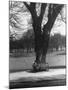 Man Sitting on a Bench and Reading a Newspaper in the Park-Cornell Capa-Mounted Photographic Print