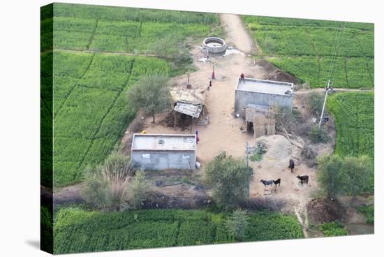 Man Sitting on House Roof in Tiny Agricultural Hamlet Amidst Fields of Vegetables, Rajasthan, India-Annie Owen-Stretched Canvas