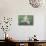 Man Sitting on House Roof in Tiny Agricultural Hamlet Amidst Fields of Vegetables, Rajasthan, India-Annie Owen-Mounted Photographic Print displayed on a wall