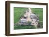 Man Sitting on House Roof in Tiny Agricultural Hamlet Amidst Fields of Vegetables, Rajasthan, India-Annie Owen-Framed Photographic Print