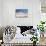 Man Sitting on Rocks at Miscanti Volcano and High Plateau Lagoon in San Pedro De Atacama Desert-Kimberly Walker-Stretched Canvas displayed on a wall