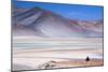 Man Sitting on Rocks at Miscanti Volcano and High Plateau Lagoon in San Pedro De Atacama Desert-Kimberly Walker-Mounted Photographic Print