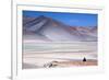 Man Sitting on Rocks at Miscanti Volcano and High Plateau Lagoon in San Pedro De Atacama Desert-Kimberly Walker-Framed Photographic Print