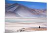 Man Sitting on Rocks at Miscanti Volcano and High Plateau Lagoon in San Pedro De Atacama Desert-Kimberly Walker-Mounted Photographic Print