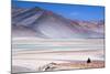 Man Sitting on Rocks at Miscanti Volcano and High Plateau Lagoon in San Pedro De Atacama Desert-Kimberly Walker-Mounted Photographic Print