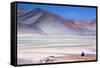 Man Sitting on Rocks at Miscanti Volcano and High Plateau Lagoon in San Pedro De Atacama Desert-Kimberly Walker-Framed Stretched Canvas