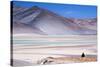 Man Sitting on Rocks at Miscanti Volcano and High Plateau Lagoon in San Pedro De Atacama Desert-Kimberly Walker-Stretched Canvas
