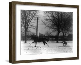 Man Skiing Behind a Horse Photograph - Washington, DC-Lantern Press-Framed Art Print