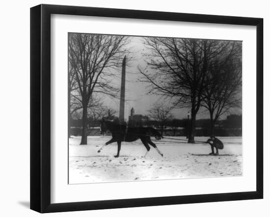 Man Skiing Behind a Horse Photograph - Washington, DC-Lantern Press-Framed Art Print