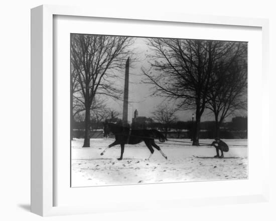 Man Skiing Behind a Horse Photograph - Washington, DC-Lantern Press-Framed Art Print