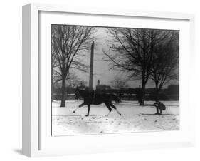 Man Skiing Behind a Horse Photograph - Washington, DC-Lantern Press-Framed Art Print
