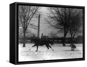 Man Skiing Behind a Horse Photograph - Washington, DC-Lantern Press-Framed Stretched Canvas