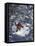 Man Skiing Downhill-null-Framed Stretched Canvas