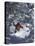 Man Skiing Downhill-null-Stretched Canvas