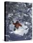 Man Skiing Downhill-null-Stretched Canvas