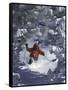 Man Skiing Downhill-null-Framed Stretched Canvas