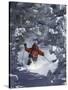 Man Skiing Downhill-null-Stretched Canvas