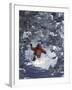 Man Skiing Downhill-null-Framed Premium Photographic Print