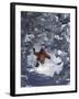 Man Skiing Downhill-null-Framed Premium Photographic Print