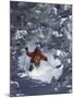 Man Skiing Downhill-null-Mounted Premium Photographic Print