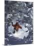 Man Skiing Downhill-null-Mounted Photographic Print