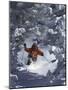 Man Skiing Downhill-null-Mounted Photographic Print