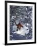 Man Skiing Downhill-null-Framed Photographic Print