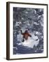 Man Skiing Downhill-null-Framed Photographic Print