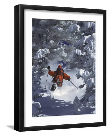 Premium Photographic Print, , large