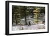 Man Skins On A Snowy Forest Service Road Next To The Gallatin River Near Big Sky, Montana-Hannah Dewey-Framed Photographic Print