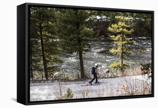 Man Skins On A Snowy Forest Service Road Next To The Gallatin River Near Big Sky, Montana-Hannah Dewey-Framed Stretched Canvas