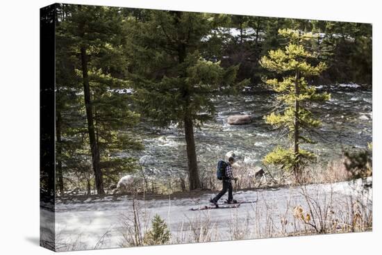 Man Skins On A Snowy Forest Service Road Next To The Gallatin River Near Big Sky, Montana-Hannah Dewey-Stretched Canvas