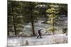 Man Skins On A Snowy Forest Service Road Next To The Gallatin River Near Big Sky, Montana-Hannah Dewey-Mounted Photographic Print