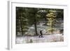 Man Skins On A Snowy Forest Service Road Next To The Gallatin River Near Big Sky, Montana-Hannah Dewey-Framed Photographic Print
