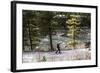 Man Skins On A Snowy Forest Service Road Next To The Gallatin River Near Big Sky, Montana-Hannah Dewey-Framed Photographic Print