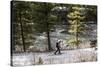 Man Skins On A Snowy Forest Service Road Next To The Gallatin River Near Big Sky, Montana-Hannah Dewey-Stretched Canvas