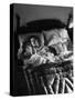 Man Snoring to the Point That His Wife Cannot Even Sleep in the Same Bed Any More-null-Stretched Canvas