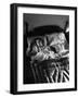 Man Snoring to the Point That His Wife Cannot Even Sleep in the Same Bed Any More-null-Framed Photographic Print